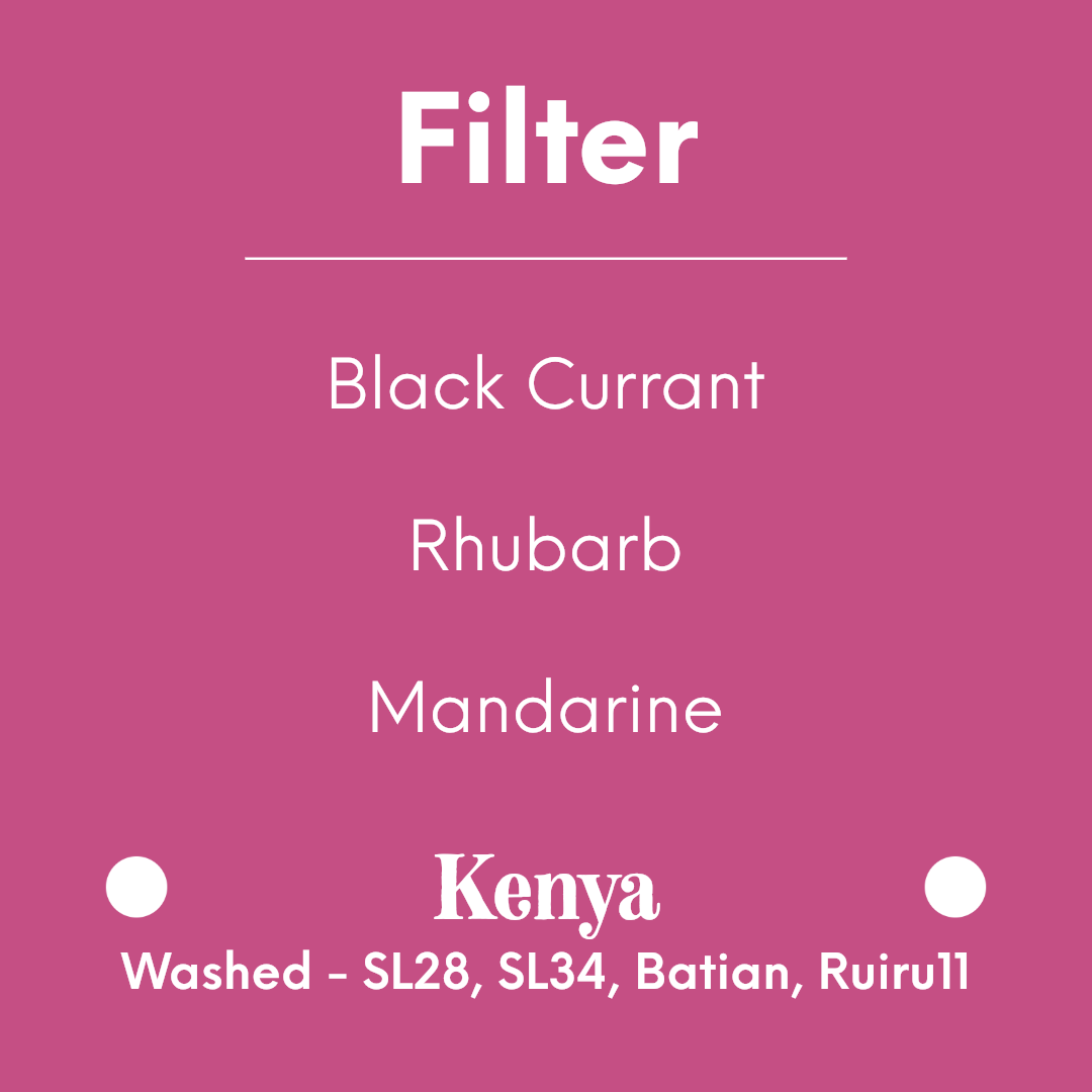 DAK - Deep Currant | Kenya - Washed - SL28, SL34, Batian, Ruiru11