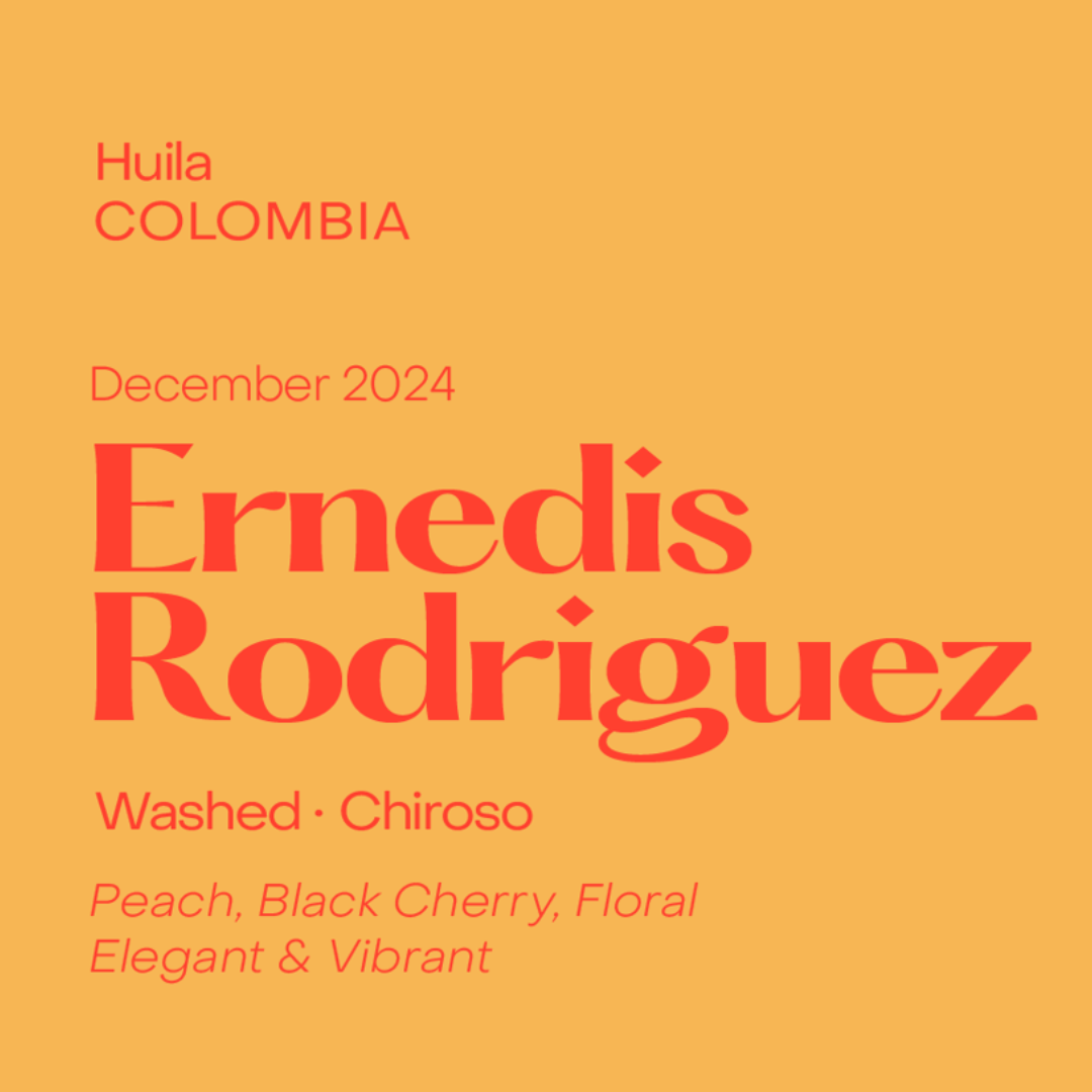 SUBTEXT - Ernedis Rodriguez | Colombia - Washed - Chiroso