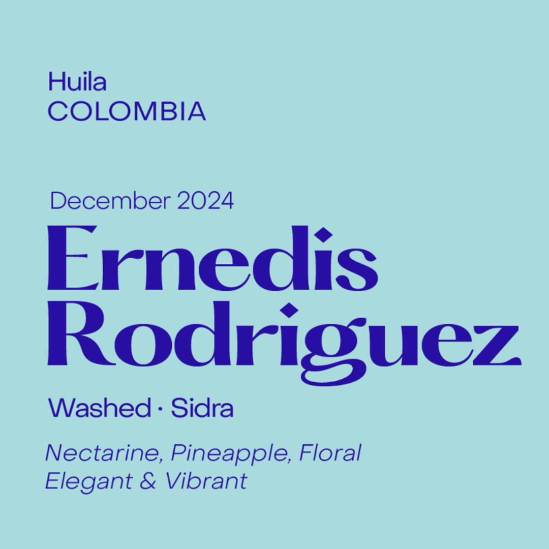 SUBTEXT - Ernedis Rodriguez | Colombia - Washed - Sidra