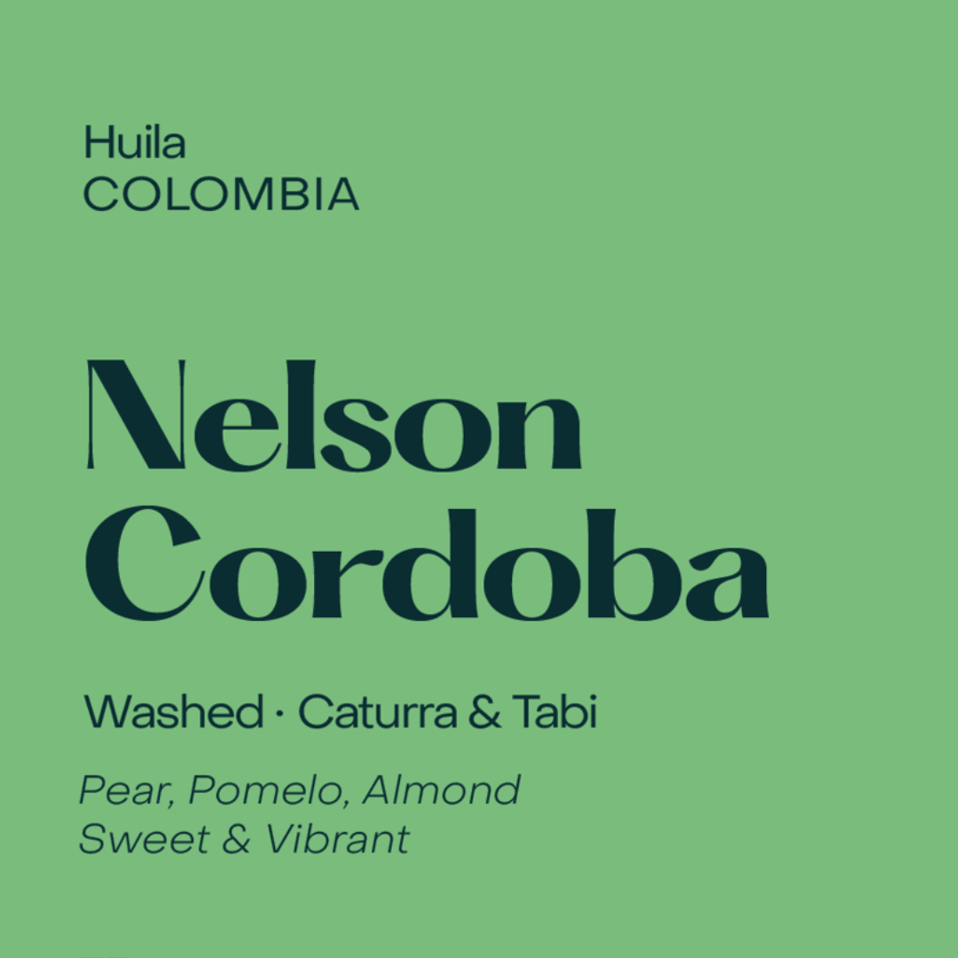 SUBTEXT - Nelson Cordoba | Colombia - Washed - Caturra, Tabi