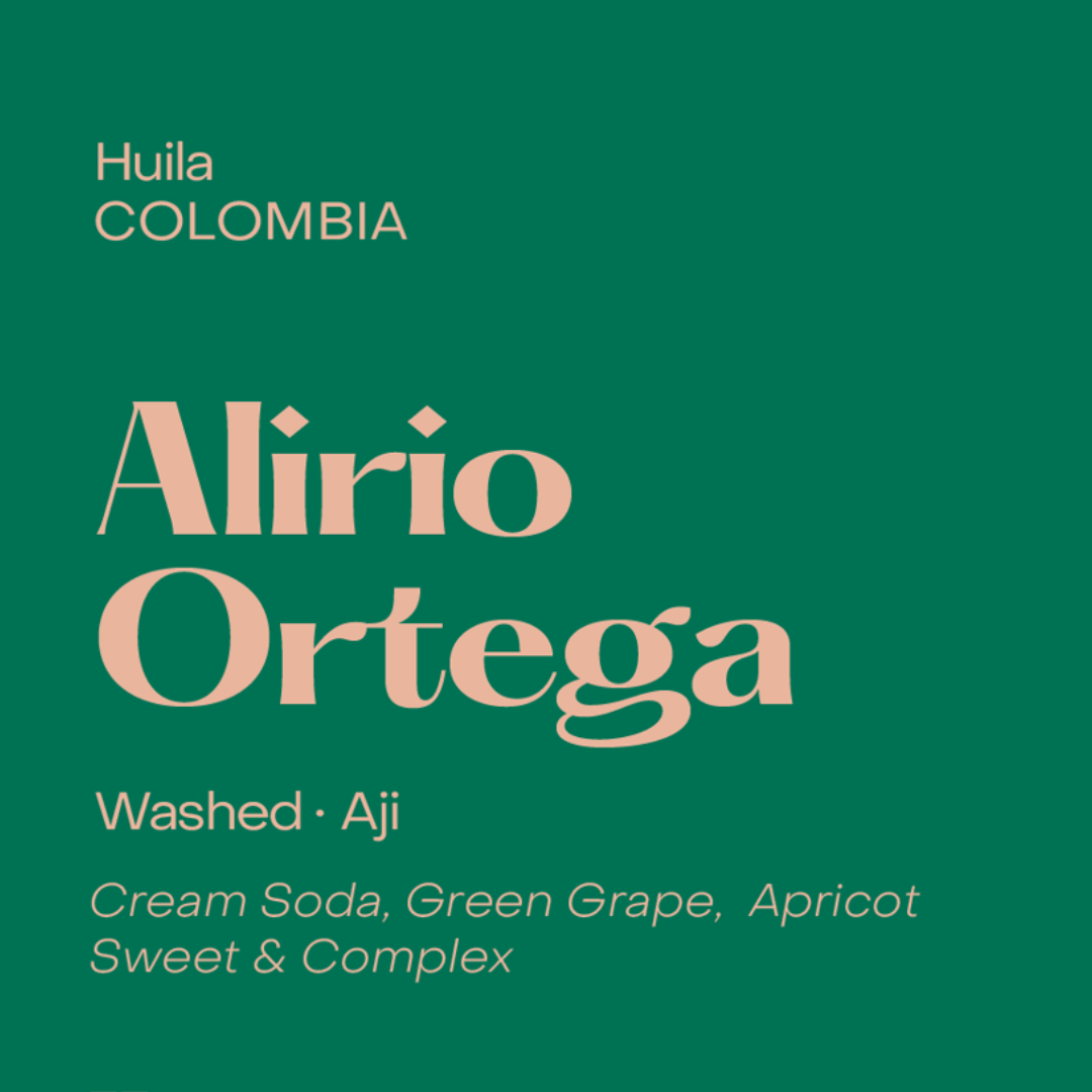 SUBTEXT - Alirio Muñoz Ortega | Colombia - Washed - Aji