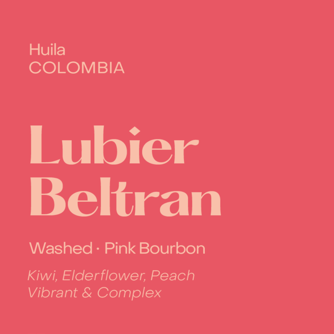 SUBTEXT - Lubier Beltran | Colombia - Washed - Pink Bourbon