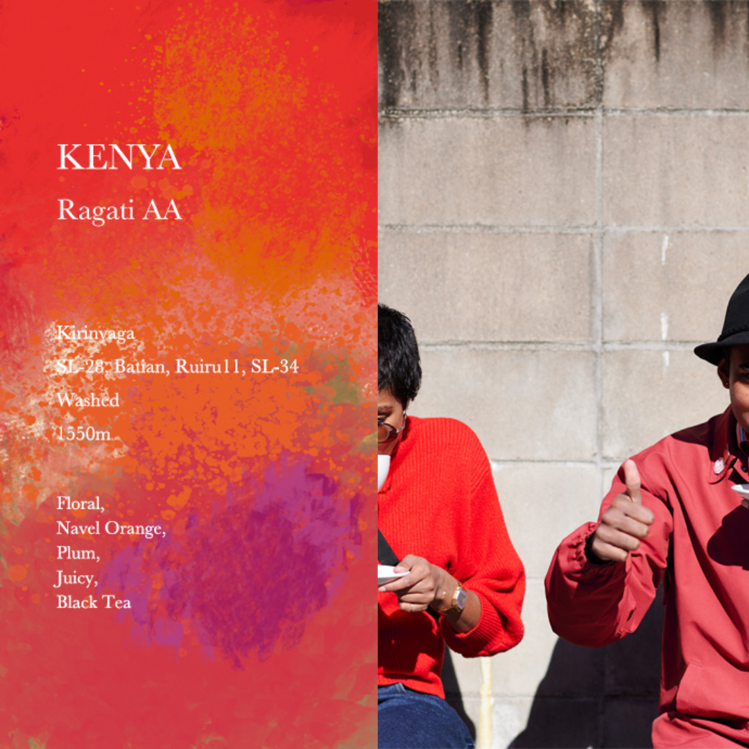 WEEKENDERS COFFEE - Ragati AA | Kenya - Washed - SL28, SL34, Ruiru11, Batian