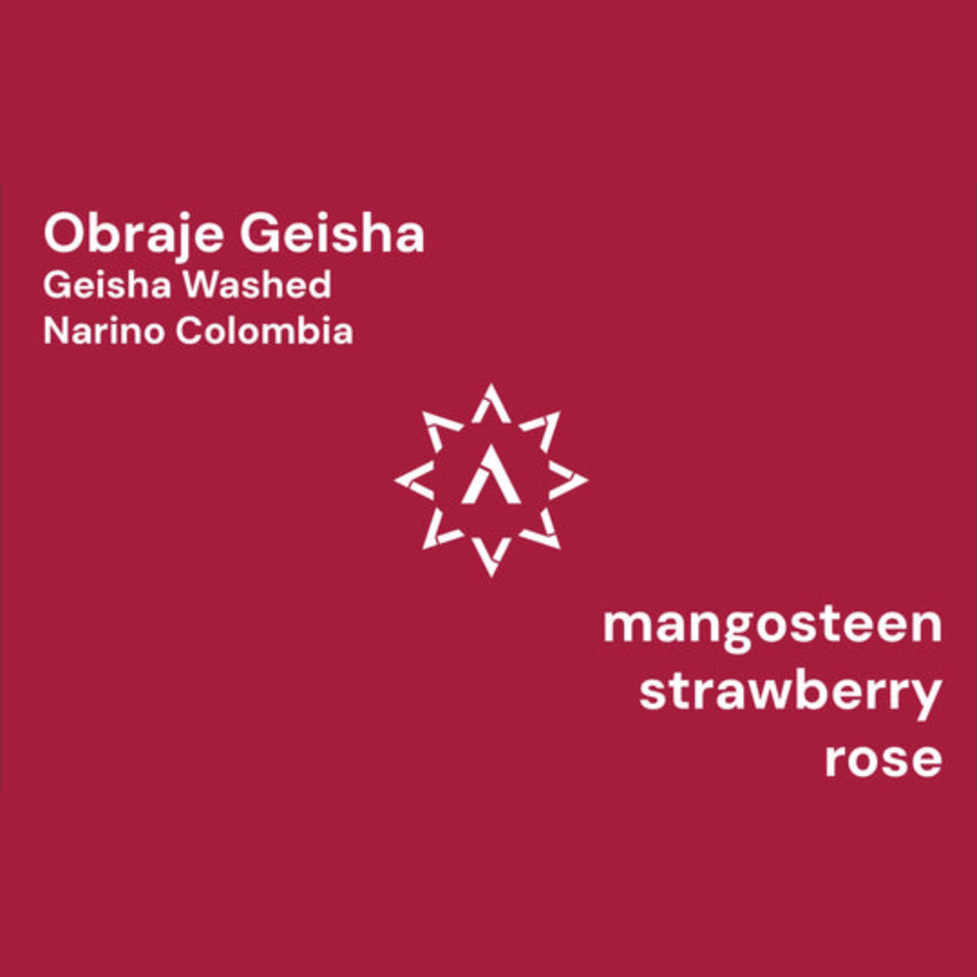 APOLLON'S GOLD - El Obraje Geisha | Colombia - Washed - Geisha