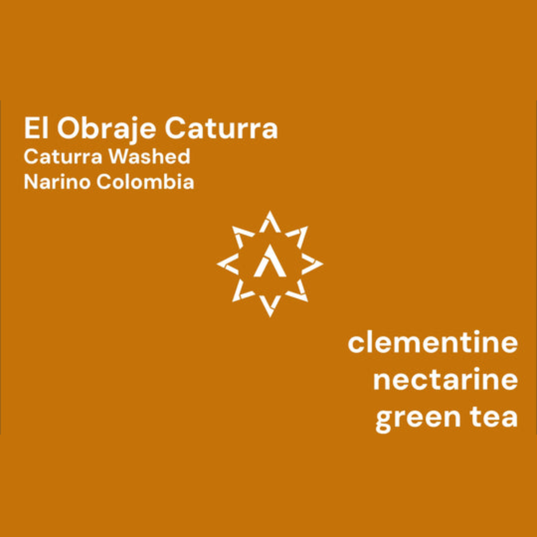 APOLLON'S GOLD - El Obraje Caturra | Colombia - Washed - Caturra