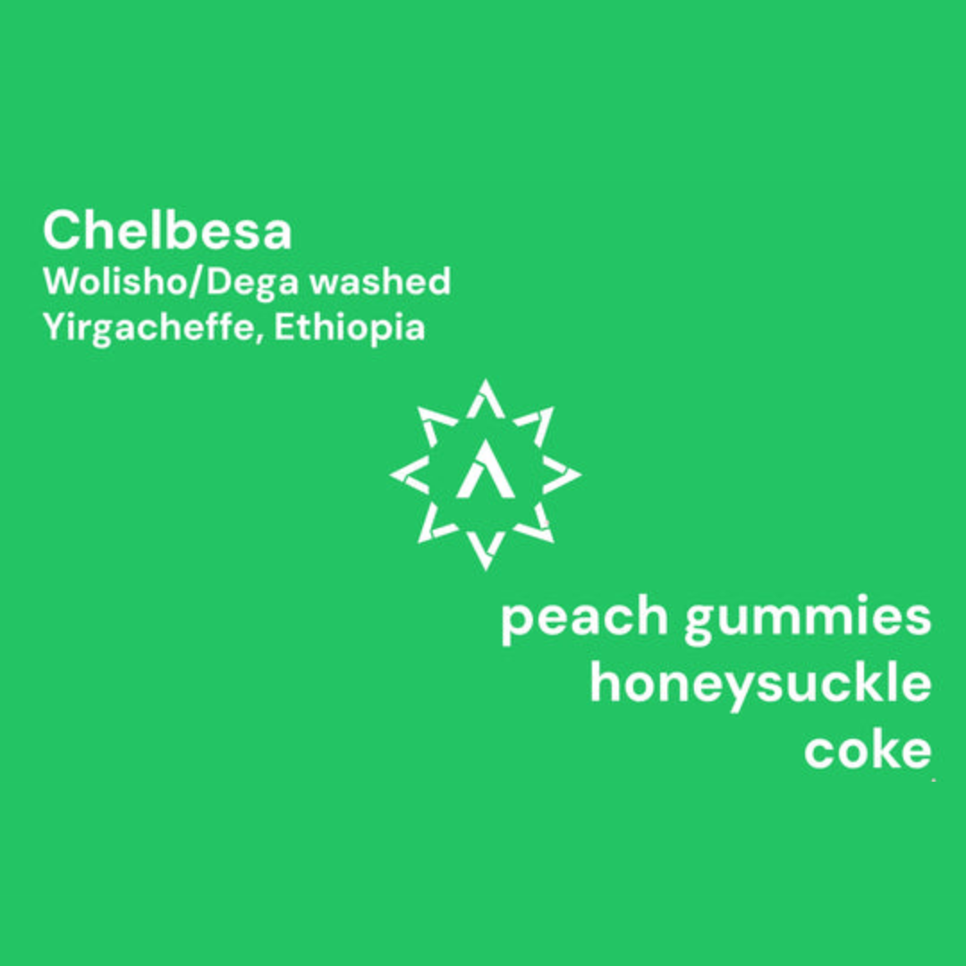 APOLLON'S GOLD - Chelbesa | Ethiopia - Washed - Wolisho, Dega