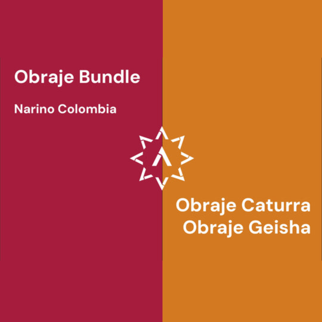 APOLLON'S GOLD - Obraje Bundle 100g x 2