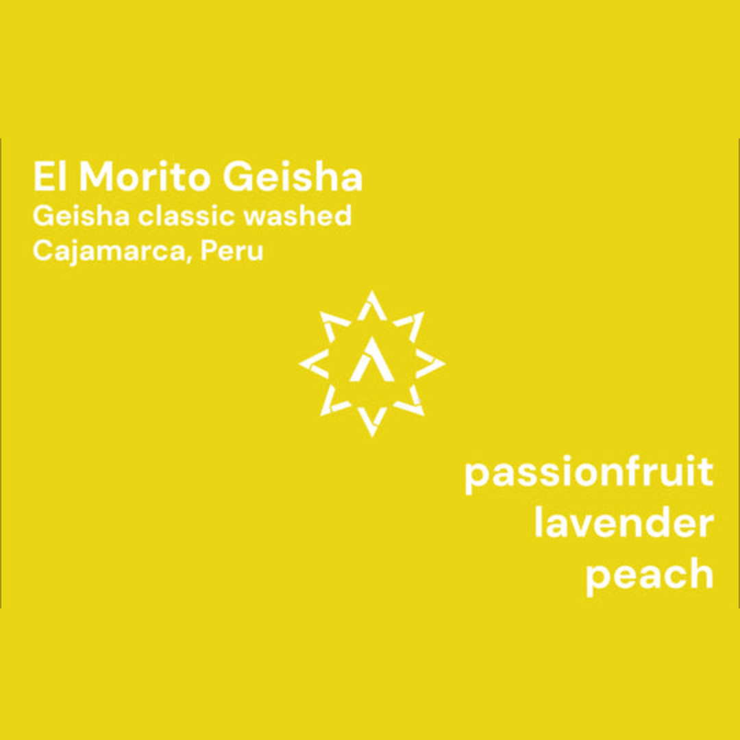 APOLLON'S GOLD - El Morito Geisha | Peru - Washed - Geisha