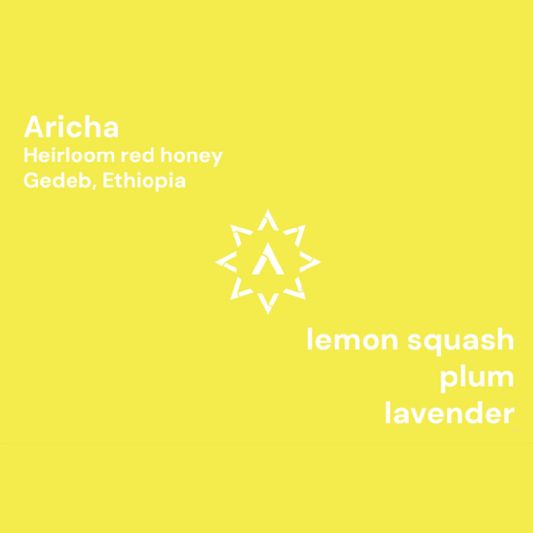 APOLLON'S GOLD - Aricha | Ethiopia - Red Honey - Heirloom