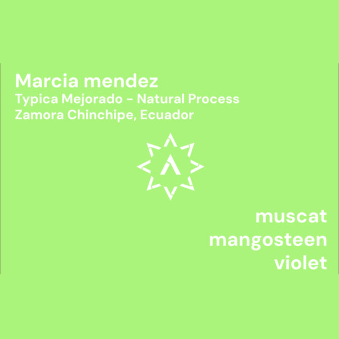 APOLLON'S GOLD - Marcia Mendez | Ecuador - Natural - Typica Mejorado