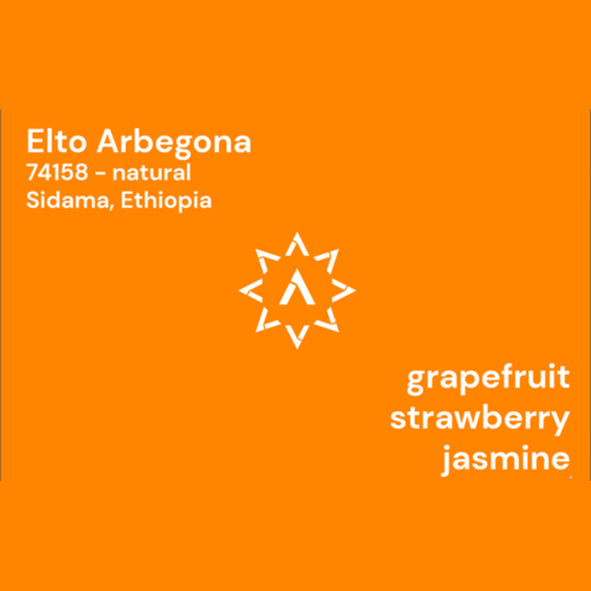 APOLLON'S GOLD - Elto Arbegona | Ethiopia - Natural - 74158