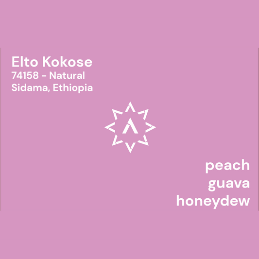 APOLLON'S GOLD - Elto Kokose | Ethiopia - Natural - 74158