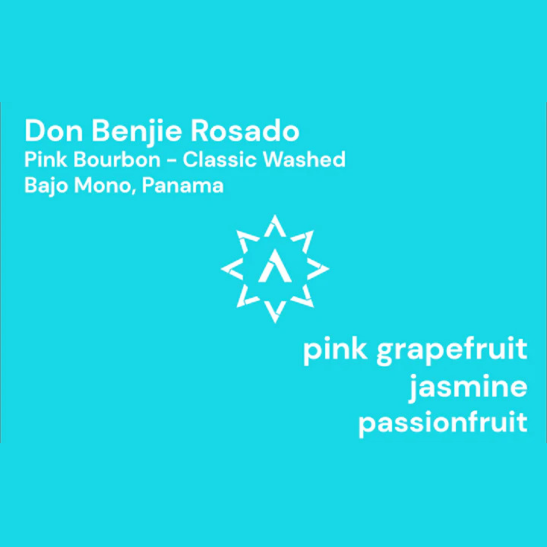 APOLLON'S GOLD - Don Benjie | Panama - Washed - Pink Bourbon