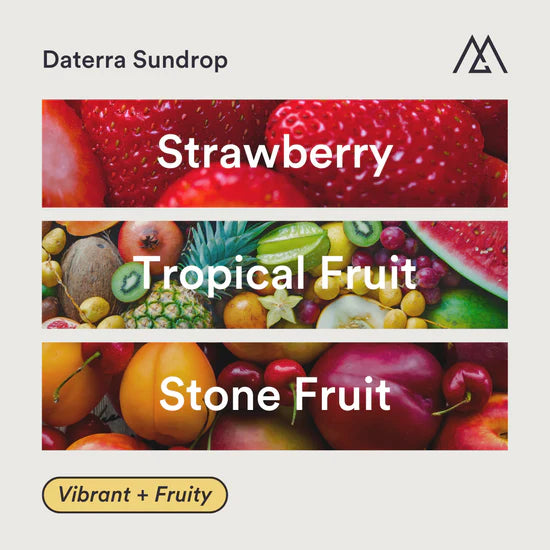 MONOGRAM - Daterra Sundrop Espresso | Brazil - Natural - Various
