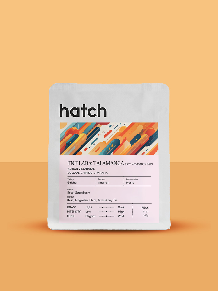 HATCH - TNT Lab x Talamanca | Panama - Hot November Rain - Geisha