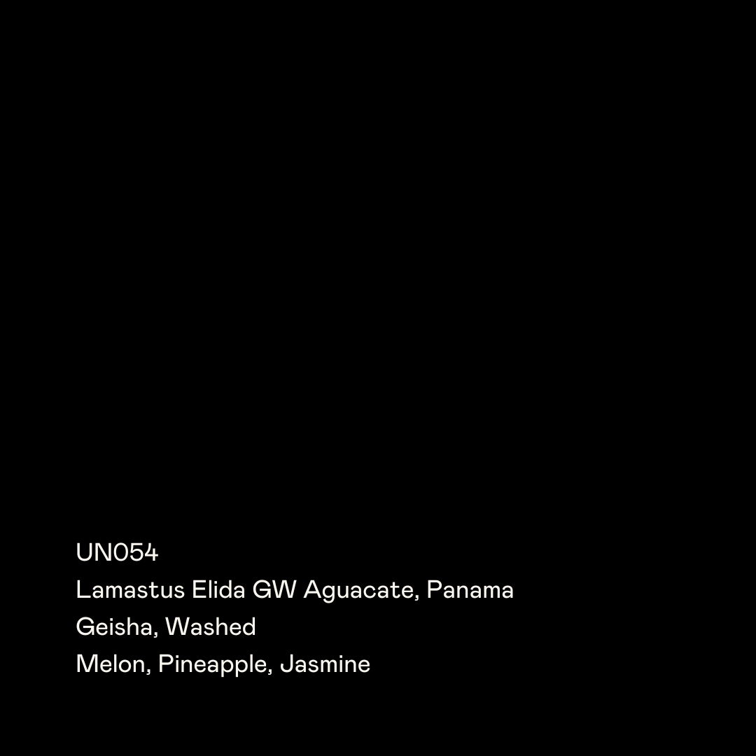 SPECIAL GUESTS - Lamastus Elida GW Aguacate | Panama - Washed - Geisha
