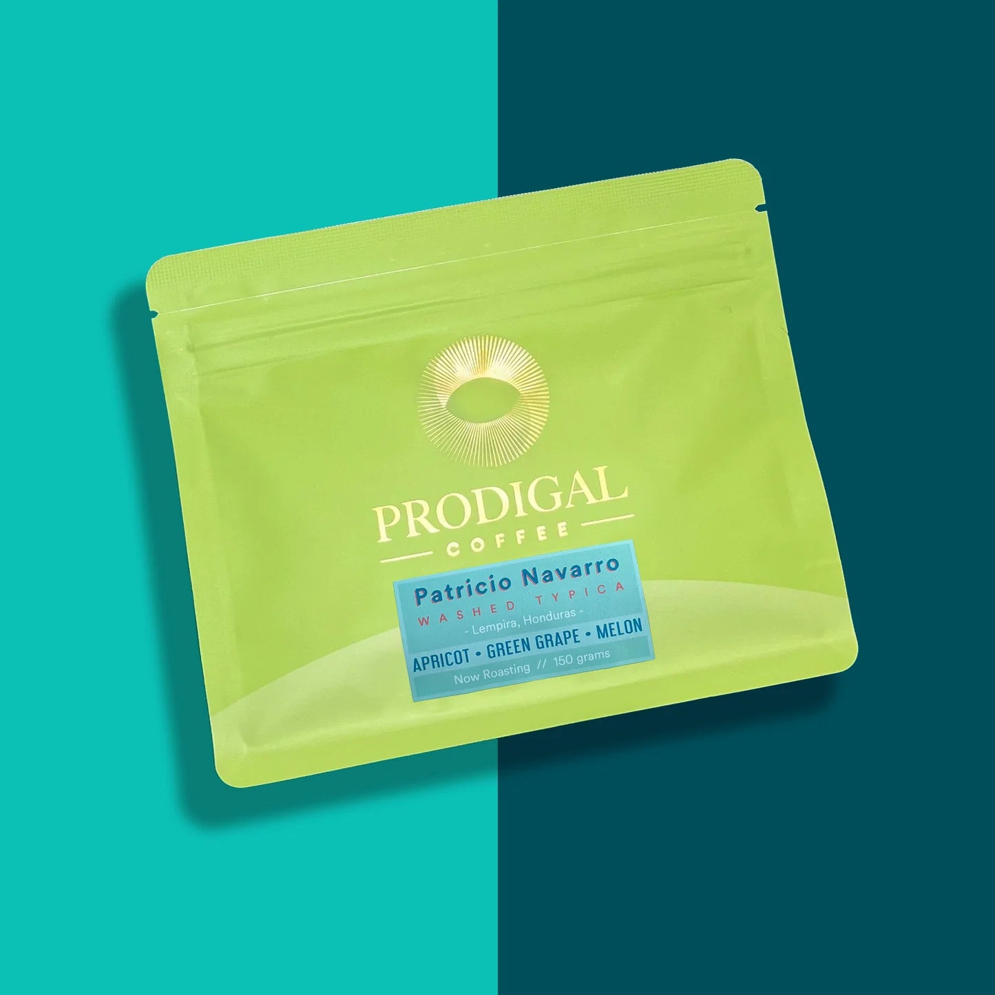 PRODIGAL - Patricio Navarro | Honduras - Semi Washed - Typica