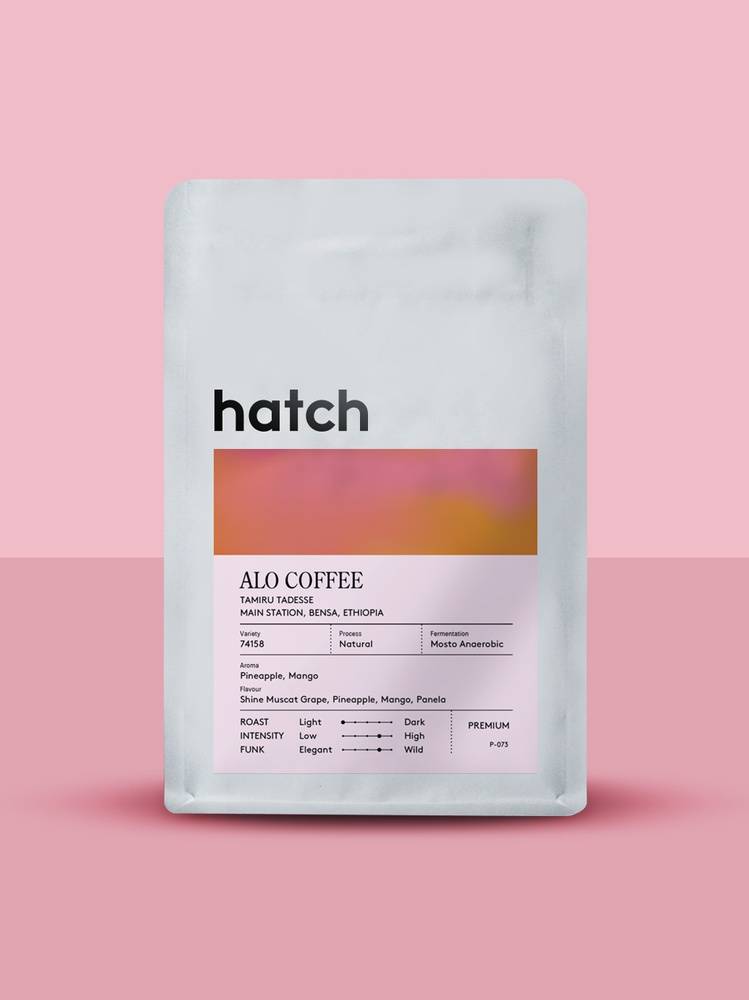 coolbeans Coffee - Hatch Coffee Roasters - Alo Coffee | Ethiopia - Mosto  Anaerobic Natural