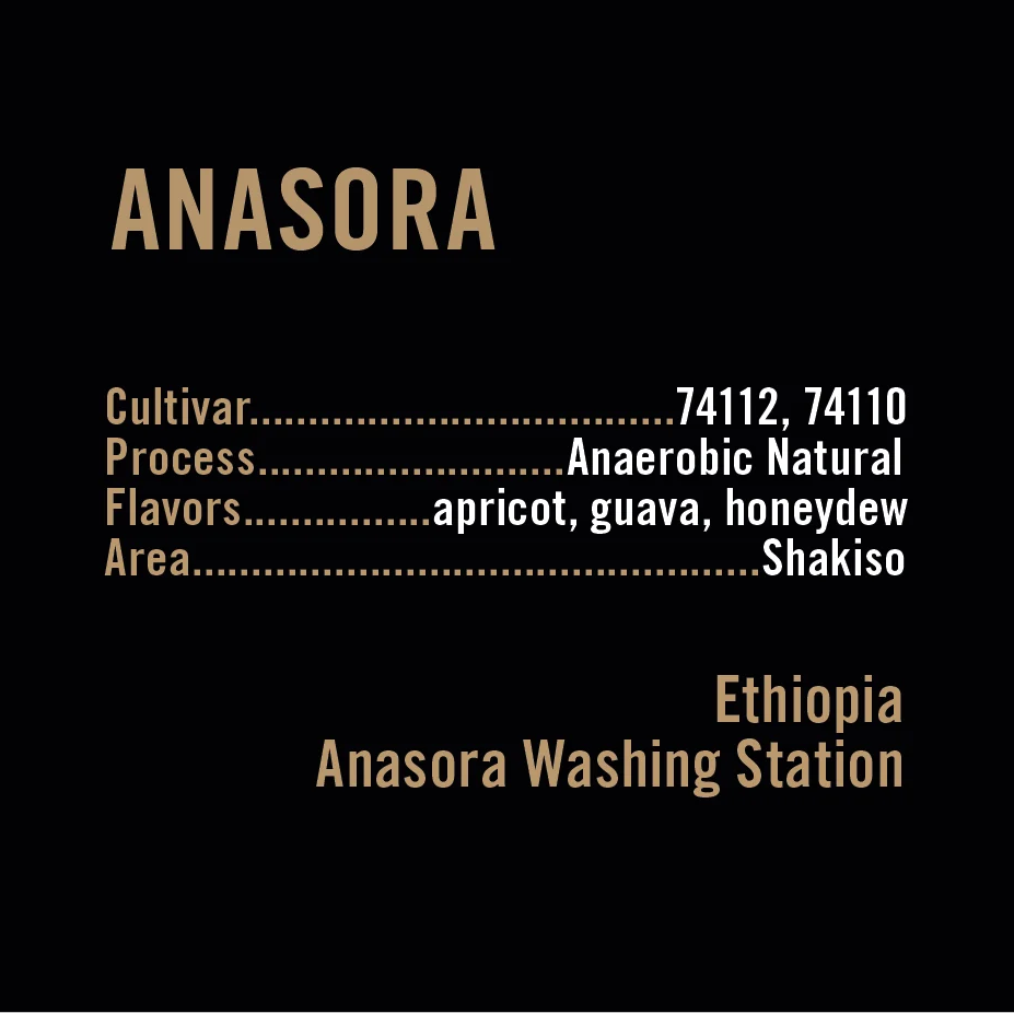 APOLLON'S GOLD - Anasora | Ethiopia - Anaerobic Natural - 74110, 74112