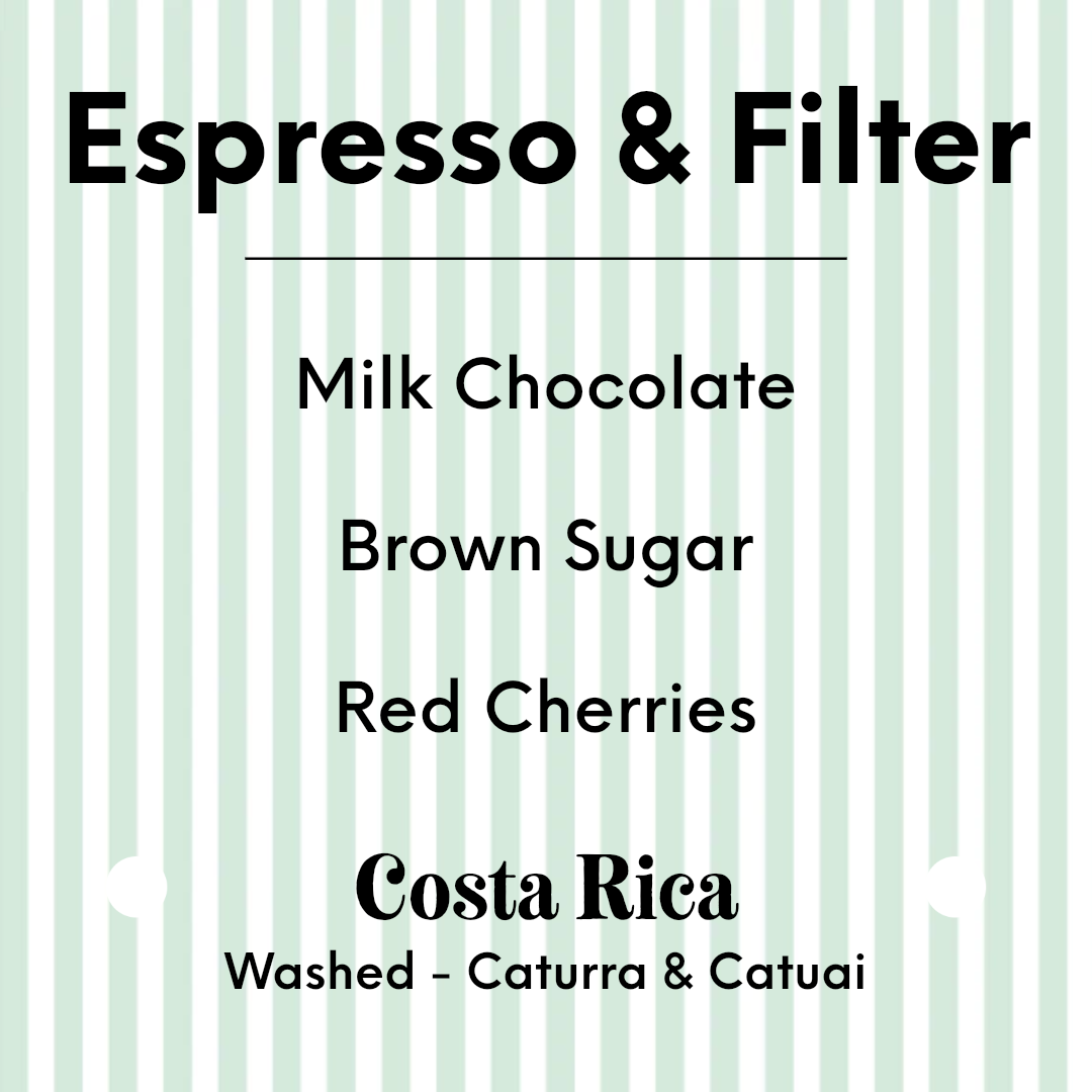 APRIL - Sustainable Profile Coffee - Costa Rica - Washed - Caturra & Catuai