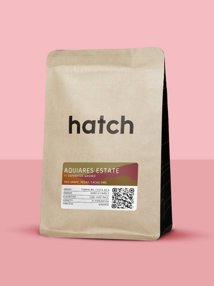 HATCH - Aquiares Estate | Costa Rica - Washed - F1 Esperanza hybrid (Sarchimor T5296 x Etíope 25)