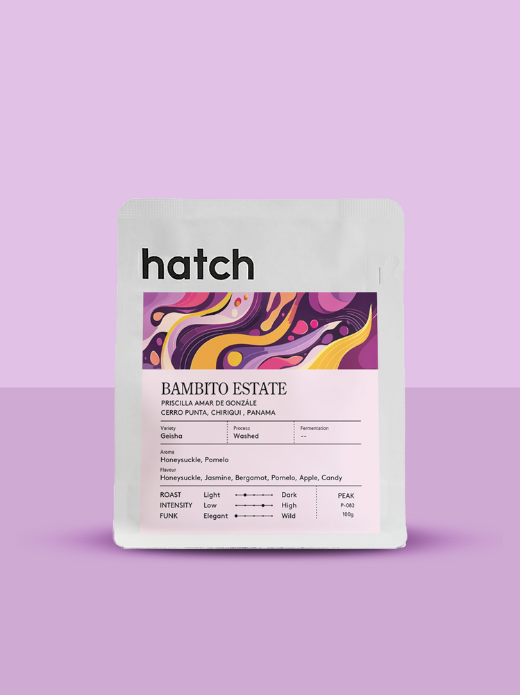 HATCH - Bambito Estate | Panama - Washed - Geisha