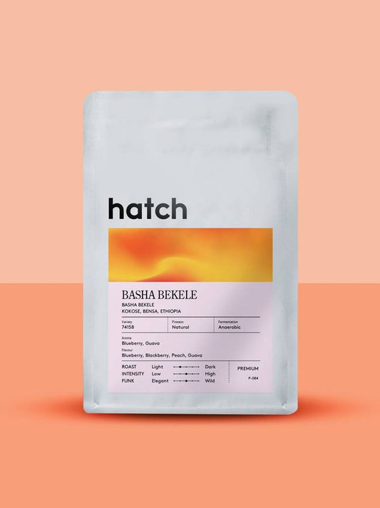 HATCH - Basha Bekele | Ethiopia - Anaerobic Natural - 74158