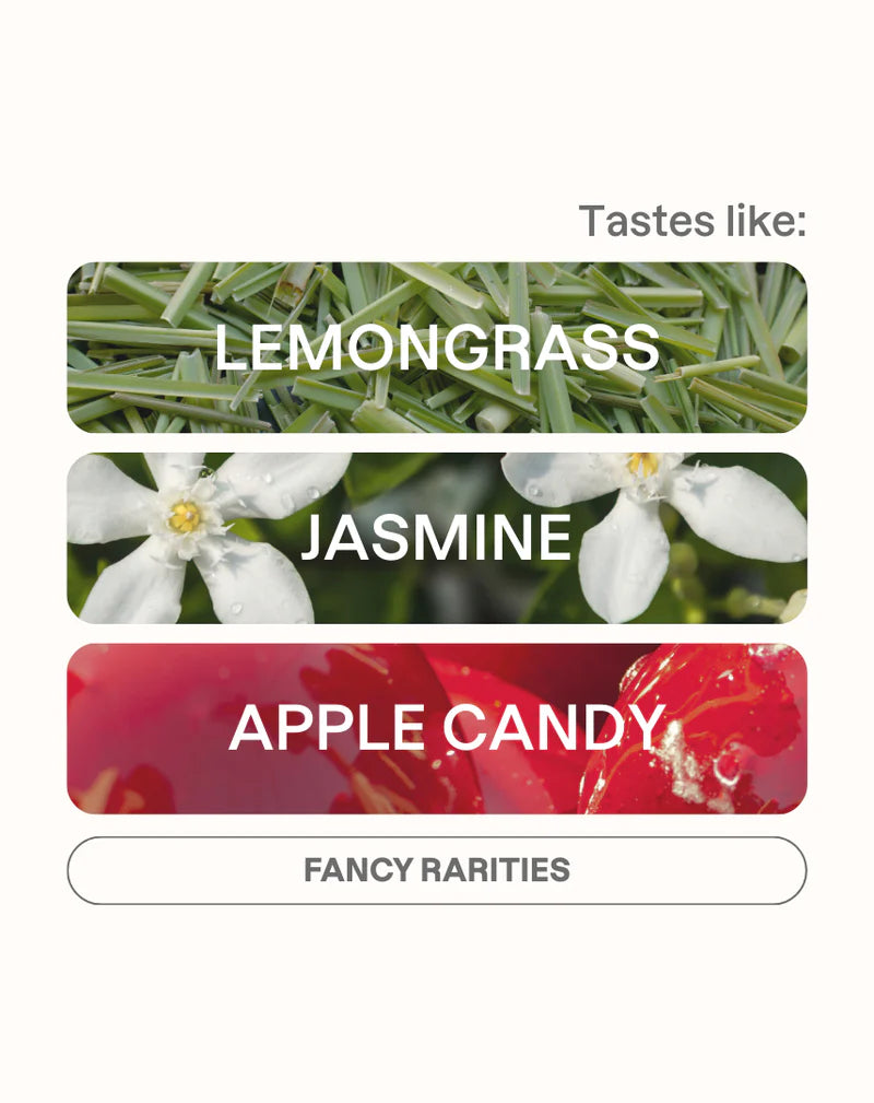 MONOGRAM - Carmen Montoya | Colombia - Cherry Fermented Washed - Chiroso