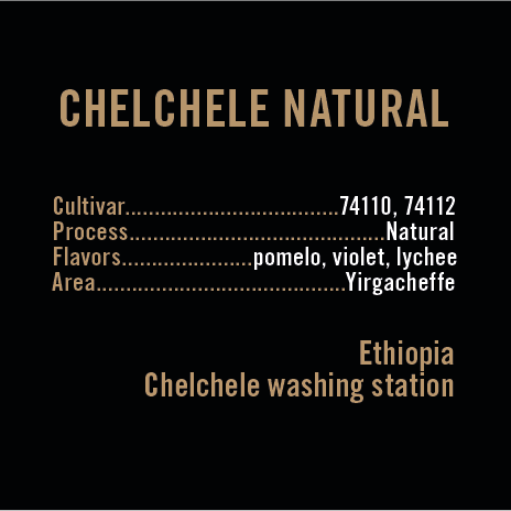 APOLLON'S GOLD - Chechele Natural | Ethiopia - Natural - 74110, 74112