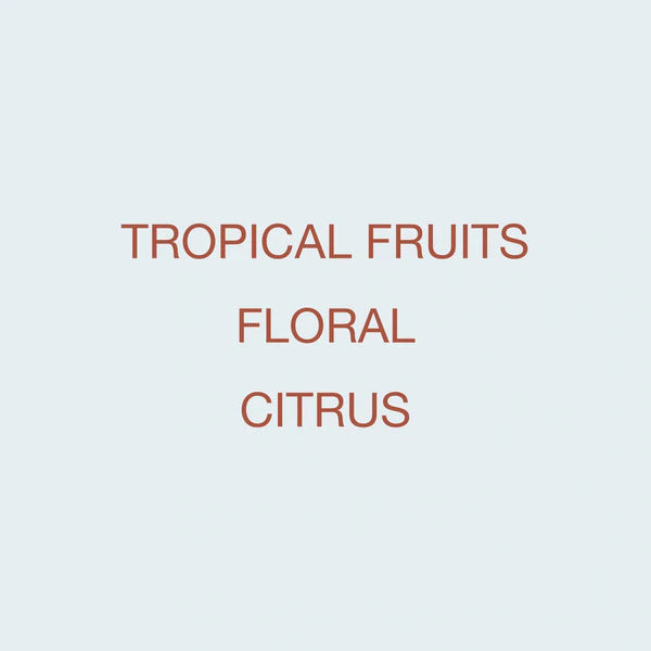 KOPPI - Finca La Fuente | Colombia - Washed - Geisha