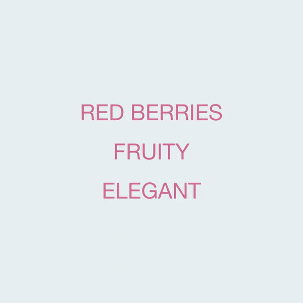 KOPPI - Finca La Fuente | Colombia - Washed - Pink Bourbon