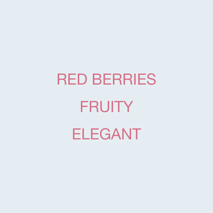 KOPPI - Finca La Fuente | Colombia - Washed - Variedad Colombia