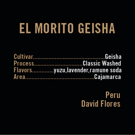 APOLLON'S GOLD - El Morito Geisha | Peru - Washed - Geisha