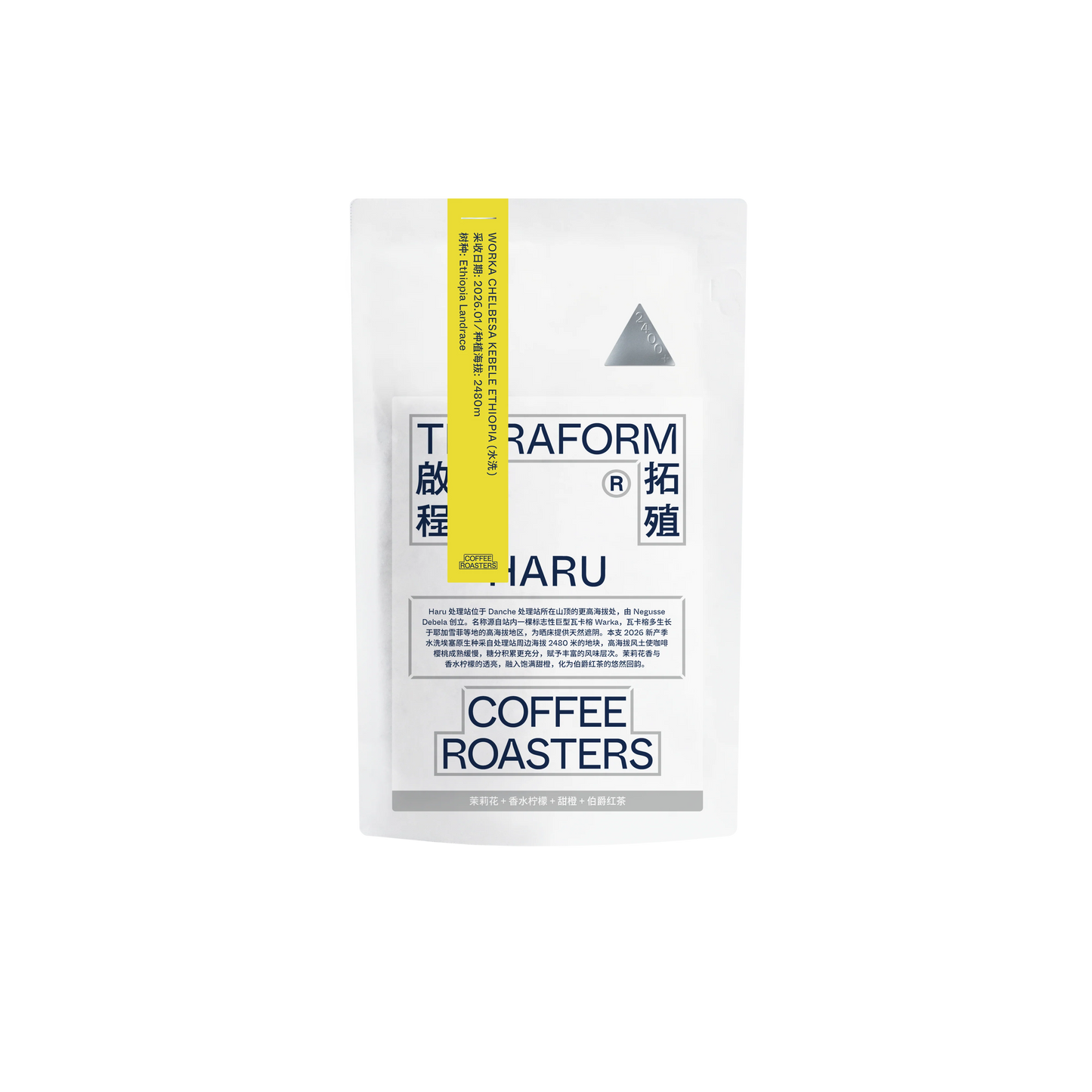 TERRAFORM - Haru | Ethiopia - Washed - Ethiopian Landrace