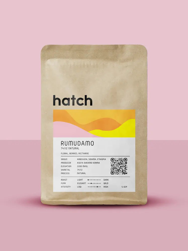 HATCH - Rumudamo Natural | Ethiopia - Natural - 74112