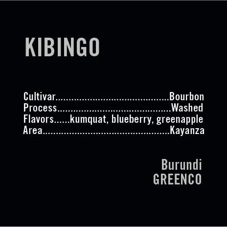 APOLLON'S GOLD - Kibingo | Burundi - Washed - Bourbon