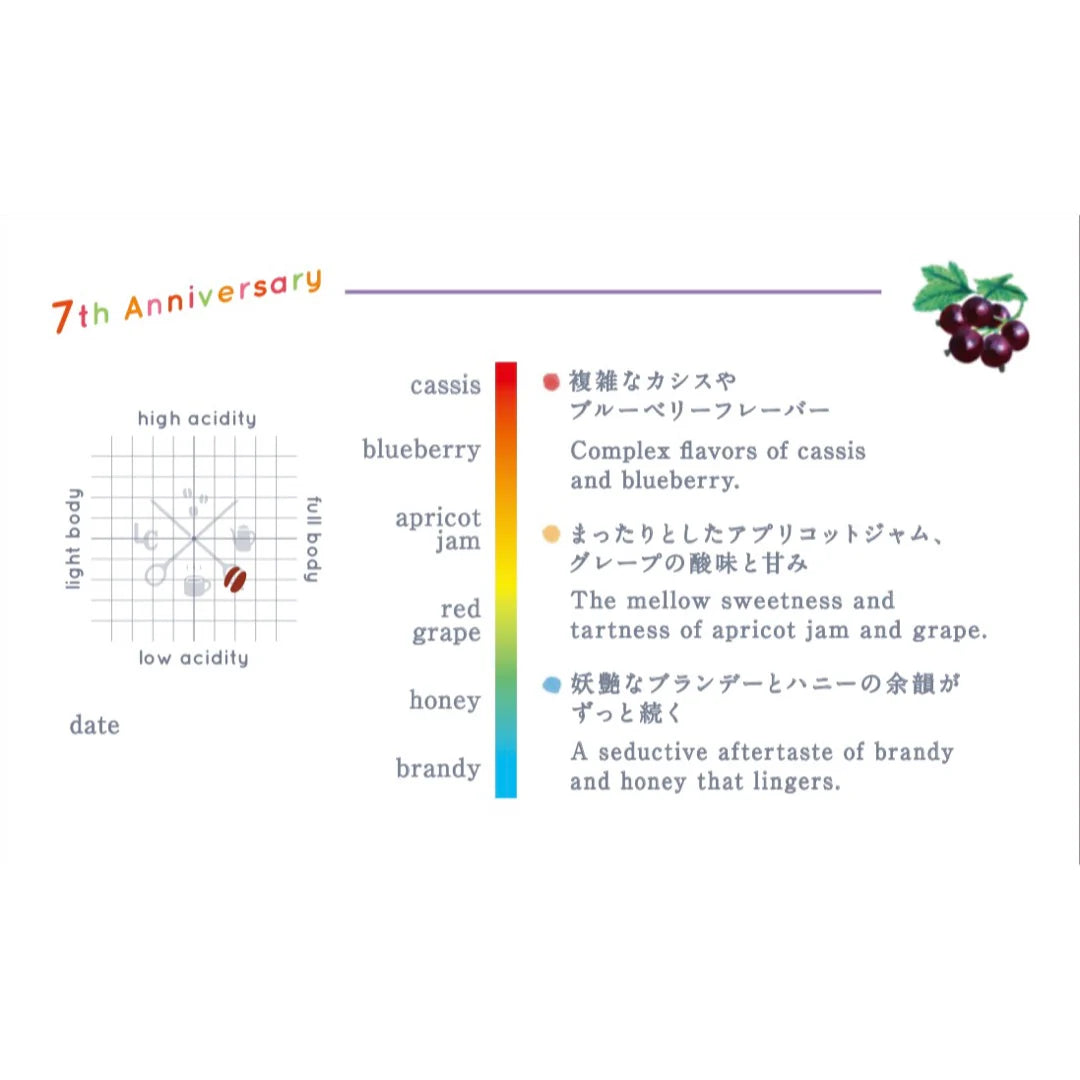 LILO - Kissa 7th Anniversary GEISHA Blend