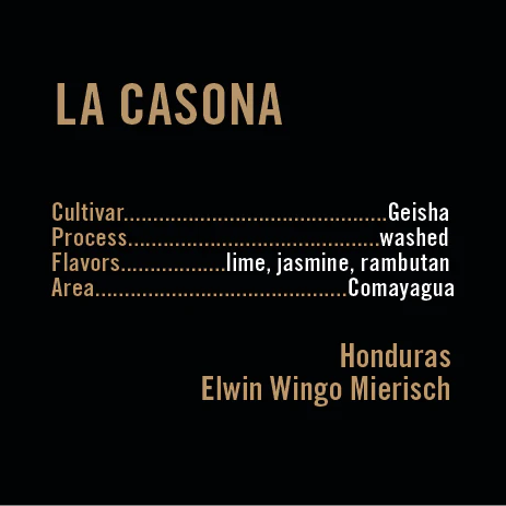 APOLLON'S GOLD - La Casona | Honduras - Washed - Geisha