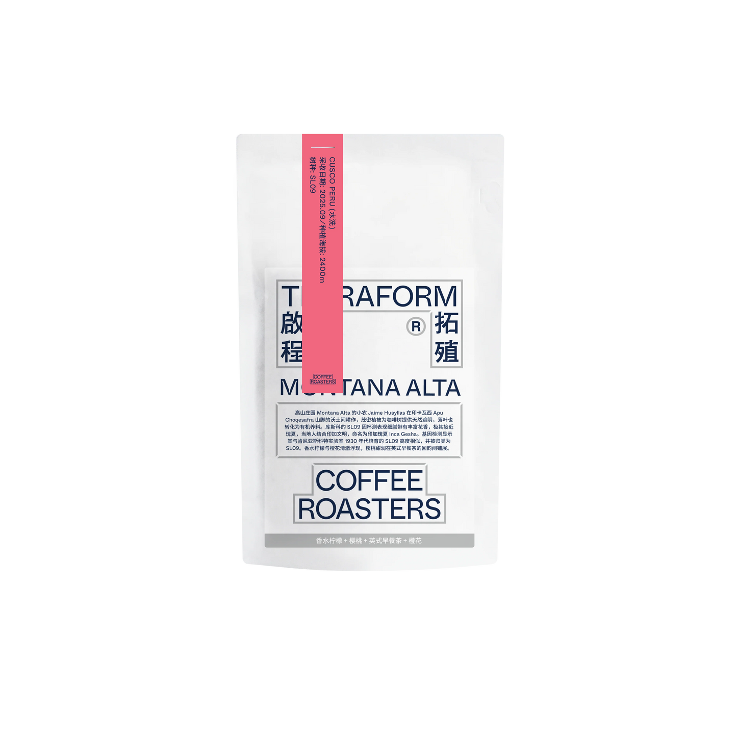 TERRAFORM - Montana Alta | Peru - Washed - SL09