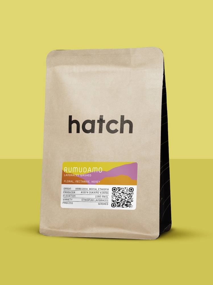 HATCH - Rumudamo | Ethiopia - Washed - Landraces