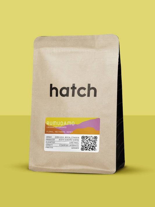 HATCH - Rumudamo | Ethiopia - Washed - Landraces