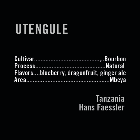 APOLLON'S GOLD - Utengule | Tanzania - Natural - Bourbon
