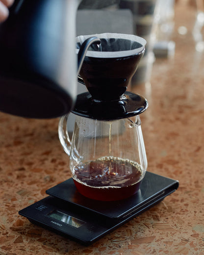 KURASU - Marysabel Caballero Geisha | Honduras - Washed - Geisha