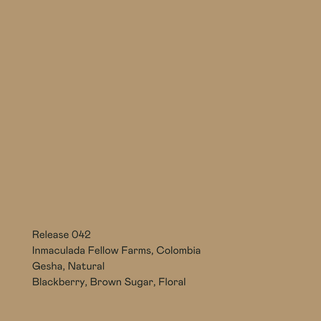 SPECIAL GUESTS - Inmaculada Fellow Farms | Colombia - Natural - Gesha