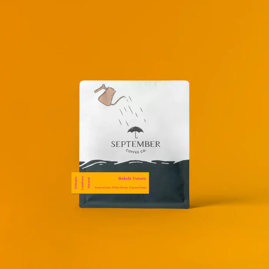 SEPTEMBER - Bekele Yutute | Ethiopia - Natural - JARC 74158