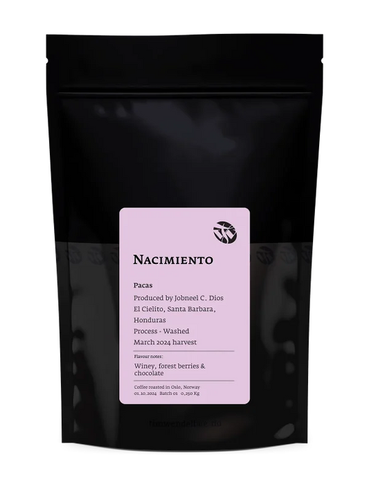 TIM WENDELBOE - Nacimiento Pacas - Honduras - Washed - Pacas