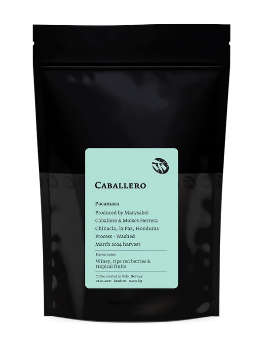 TIM WENDELBOE - Caballero Pacamara - Honduras - Washed - Pacamara