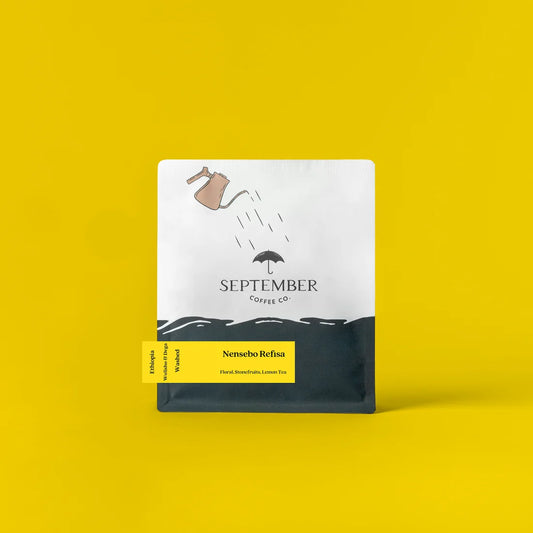 SEPTEMBER - Nensebo Refisa | Ethiopia - Washed - Wolisho, Dega