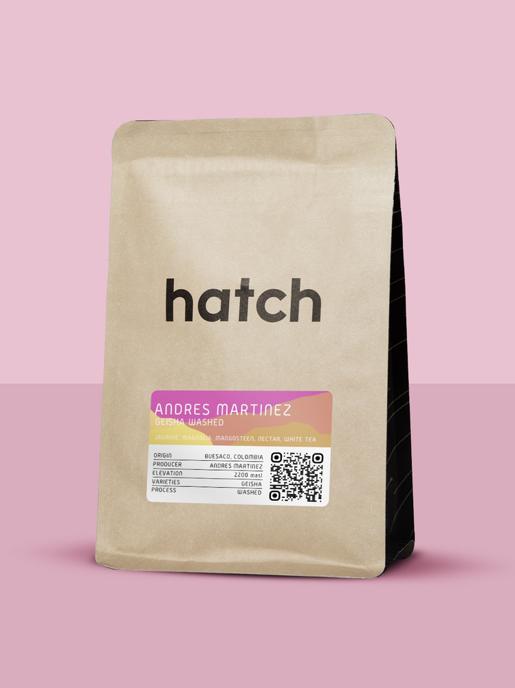 HATCH - Andres Martinez | Colombia - Washed - Geisha