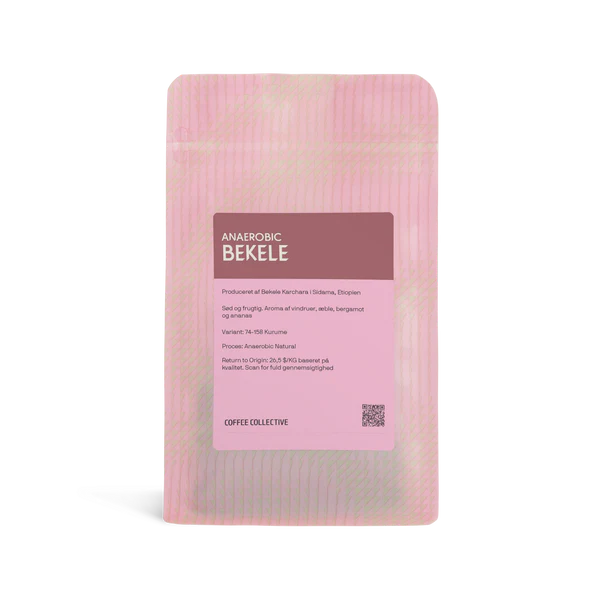 COFFEE COLLECTIVE - Bekele Anaerobic Filter | Ethiopia - Anaerobic Natural - 74158 Kurume